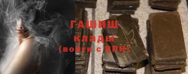 индика Корсаков